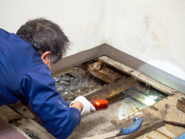 Best Mold Testing and Inspection Services in Grand Coulee, WA