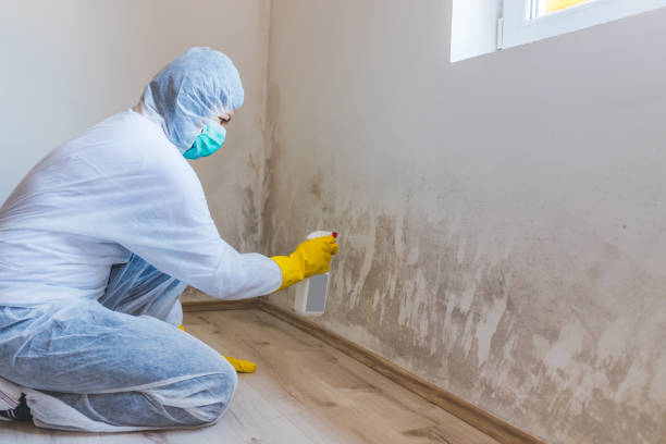 Best Mold Testing and Inspection Services in Grand Coulee, WA