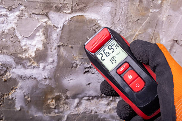 Best HVAC Mold Remediation in Grand Coulee, WA