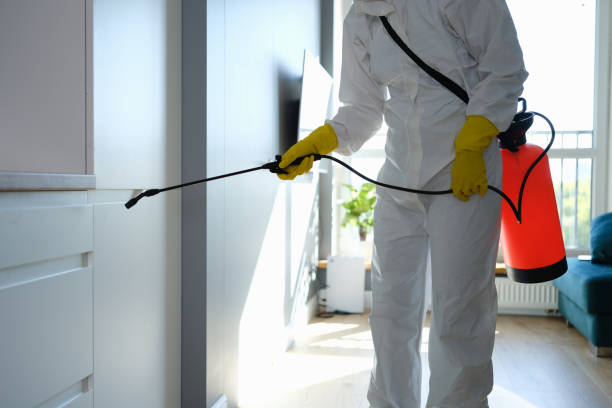 Best Health and Safety Mold Remediation in Grand Coulee, WA